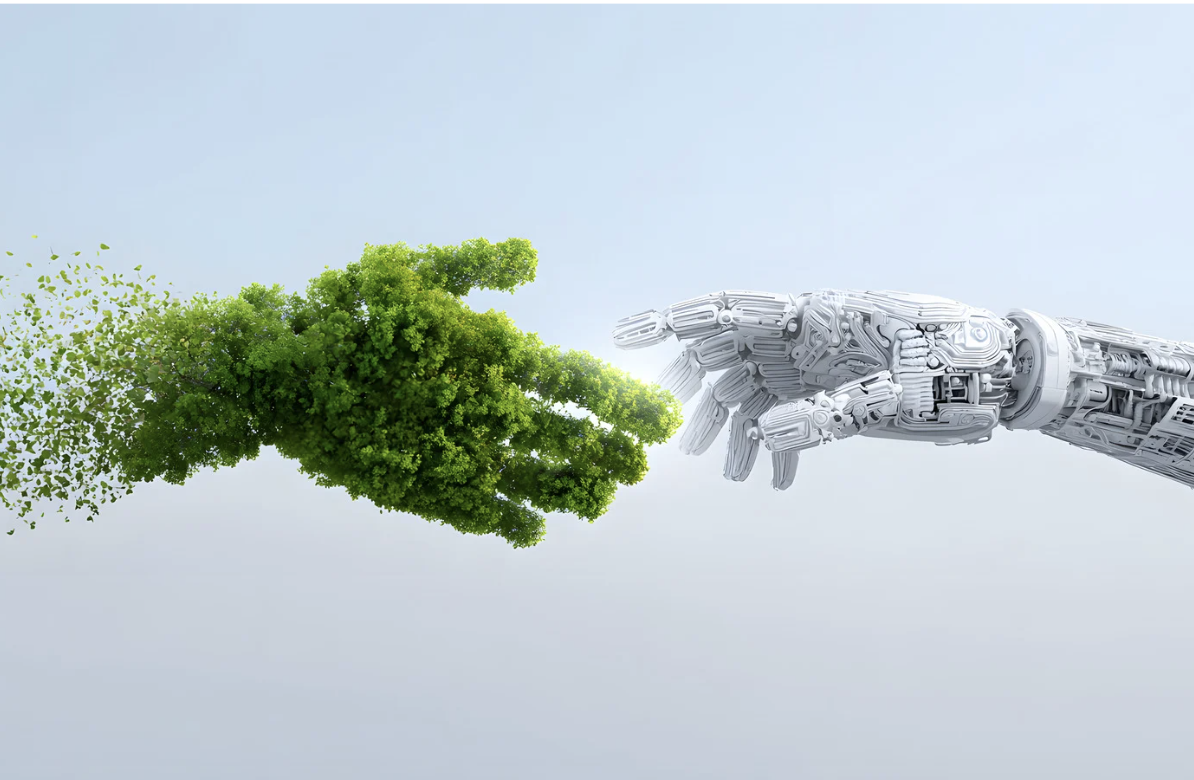 AI and sustainability